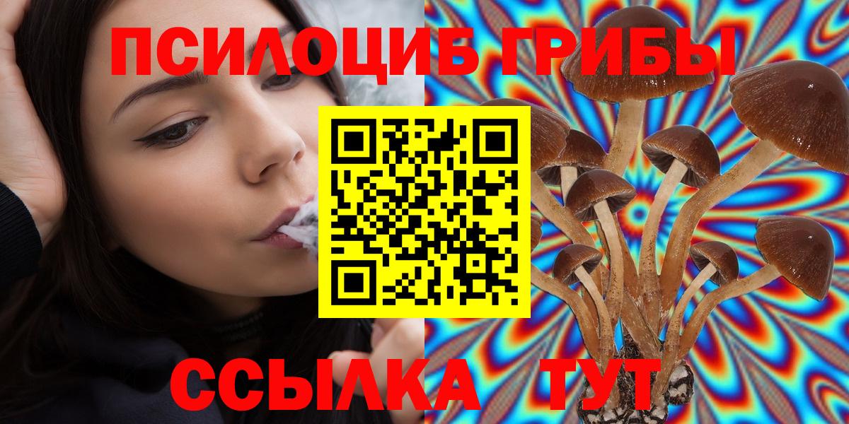 Псилоцибиновые грибы Magic Shrooms Екатеринбург
